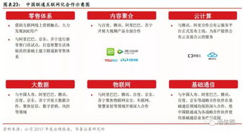 综合电信服务运营商 国企改革与增值电信业务的双重赋能